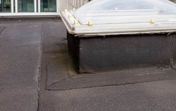 disadvantages of Burton Lazars flat roofs