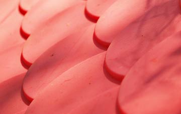 Burton Lazars plastic roof costs